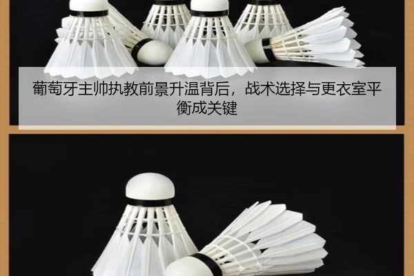 葡萄牙主帅执教前景升温背后，战术选择与更衣室平衡成关键